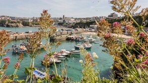 Un port avec des bateaux amarrés, une jetée et une ville en arrière-plan.