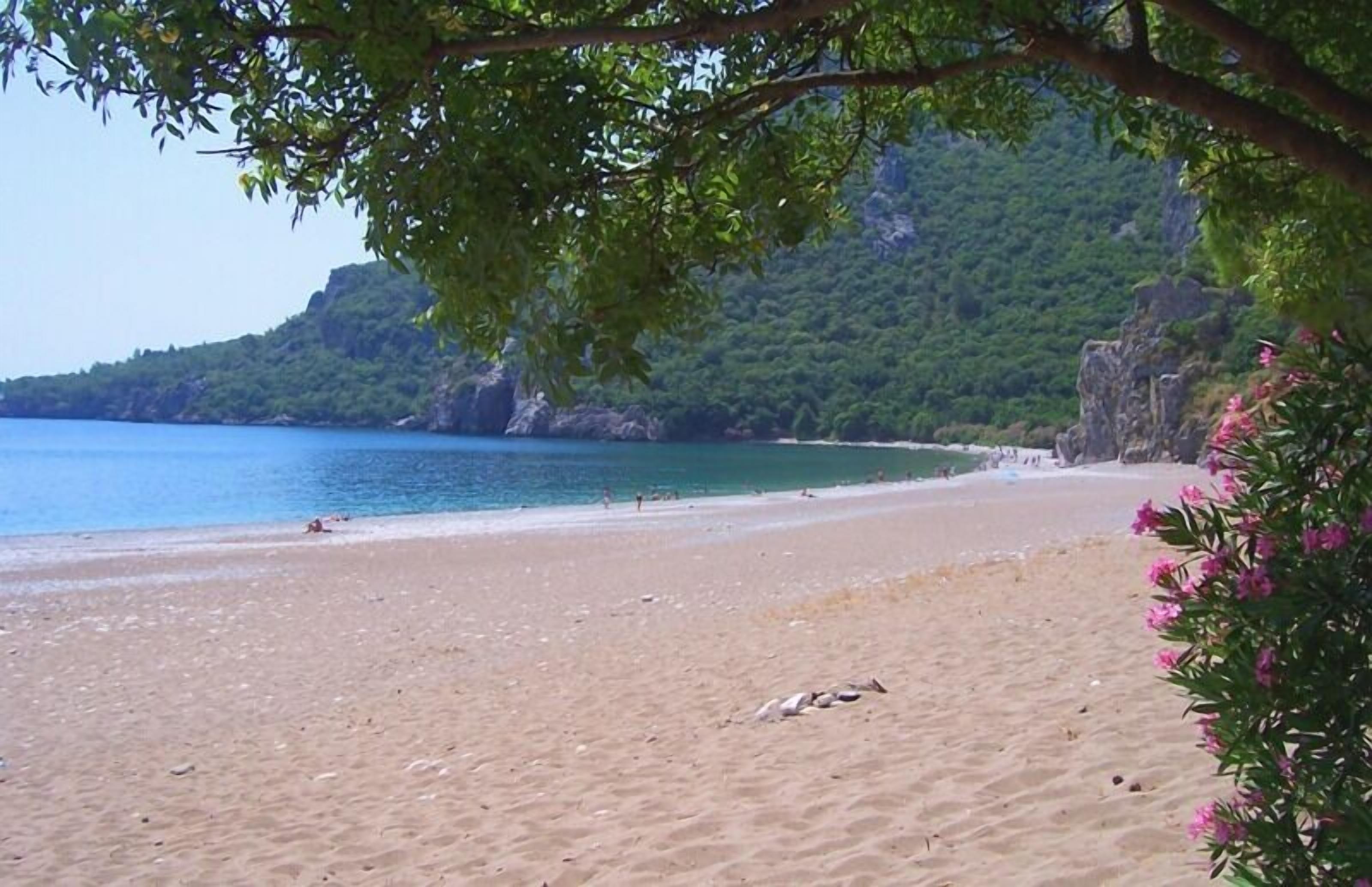 Una playa con agua azul cristalina, orilla arenosa y colinas verdes exuberantes al fondo.
