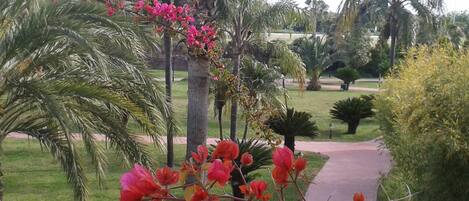 Un jardín con palmeras, un sendero y plantas con flores.