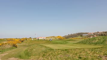 Cottage | Golf