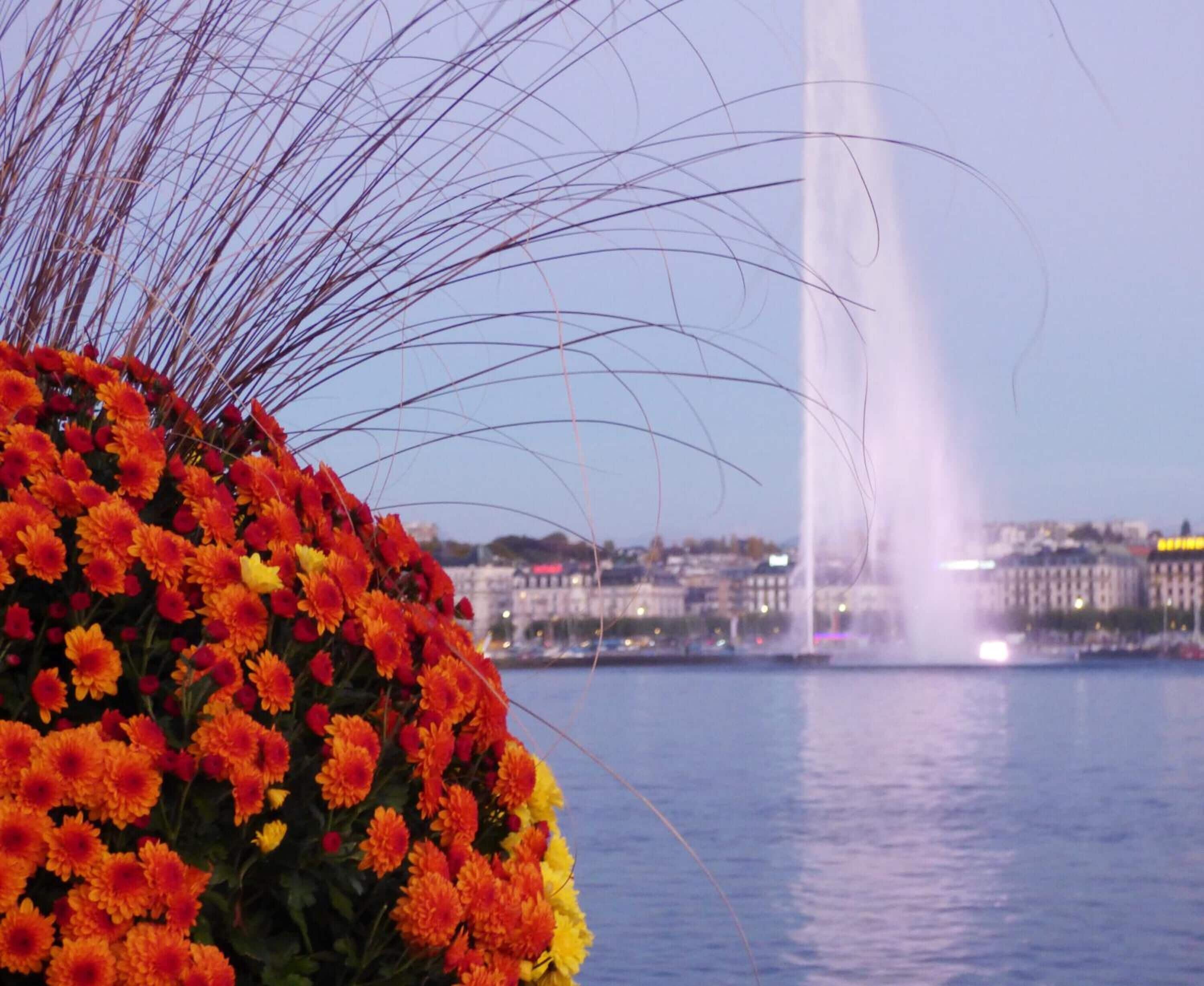 A body of water with a fountain and a large flower arrangement in the foreground.