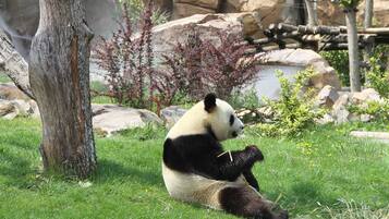 Enceinte de lâhĂ©bergement