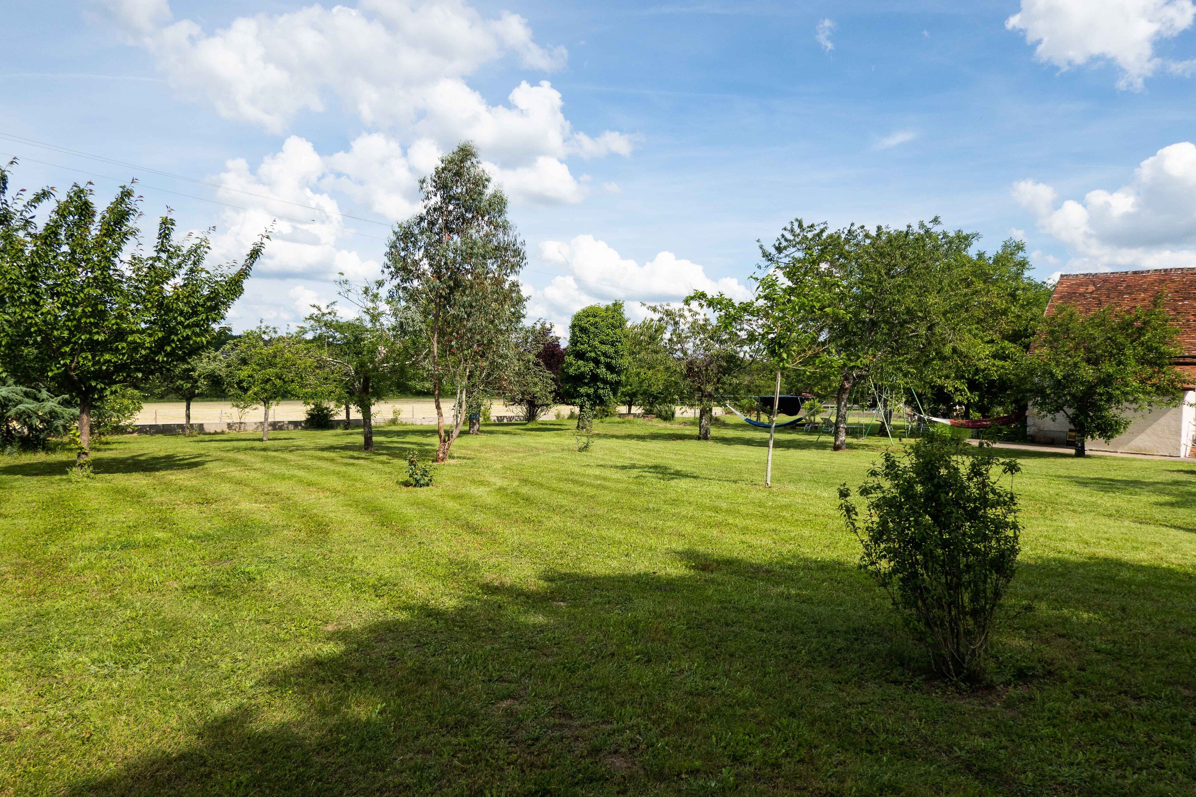 Un espace extérieur verdoyant, avec des arbres et un bâtiment en arrière-plan.