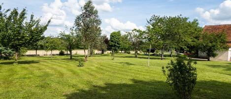 Un espace extérieur verdoyant, avec des arbres et un bâtiment en arrière-plan.