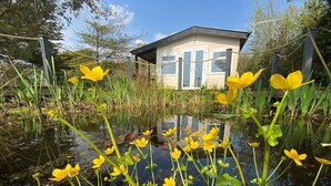 Un edifici petit amb teulada inclinada, envoltat d'una bassa natural plena de flors grogues i vegetació verda.