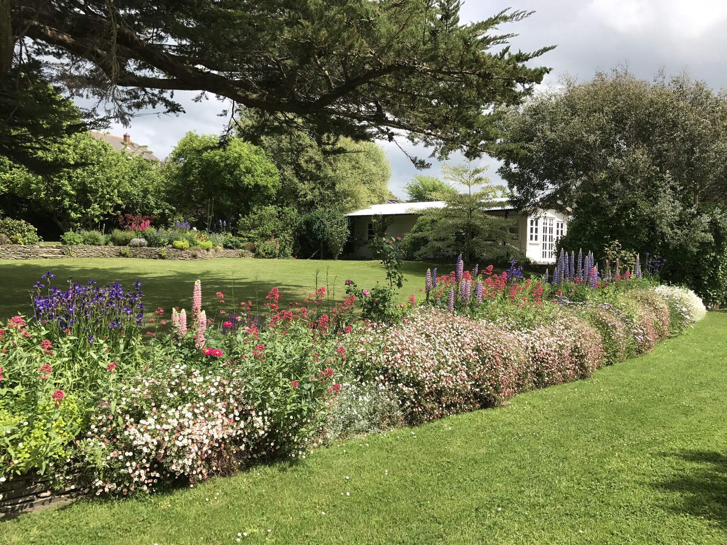 A well-maintained garden with a variety of flowers and a lawn.
