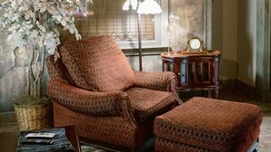 A cozy living room with a patterned armchair, ottoman, and a potted plant. - Top location, no cleaning fee, everthings close B (Lake Geneva)