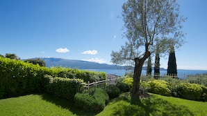 A well-maintained garden with a wooden fence, a tree, and a view of a lake and mountains in the distance.