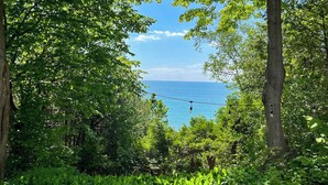Un paisaje exuberante y verde con una vista despejada del mar.