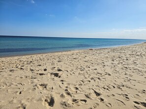 Une plage de sable où l’on peut voir des empreintes menant à l’eau.