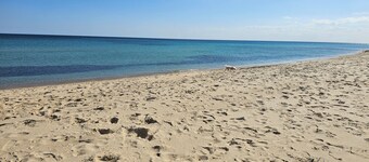 Un Appartement de Charme à Hammamet