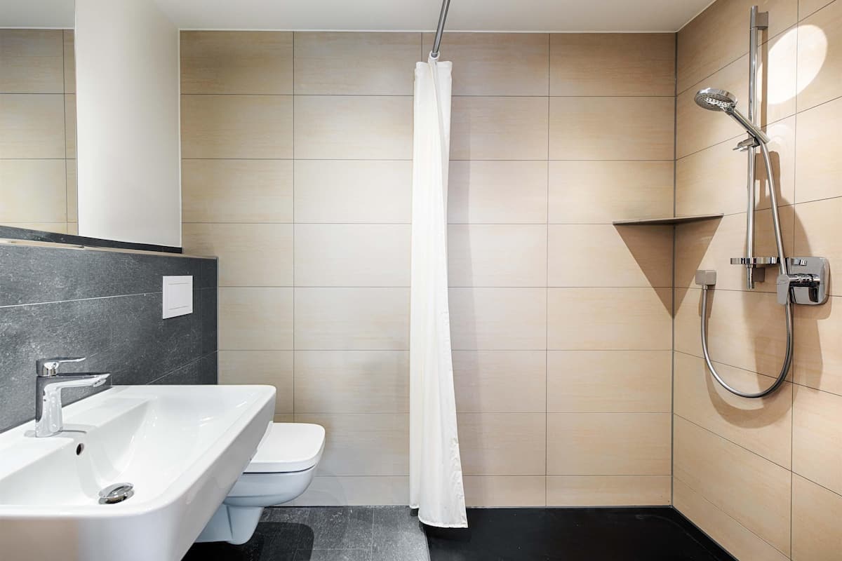 shower, hair dryer, soap, shampoo