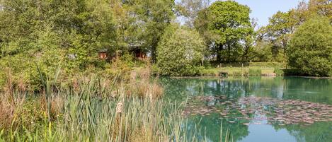 Cottage | Property grounds