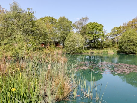 Cottage | Property grounds