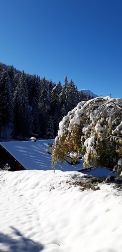 Waldhaus -Natur- Wandern - Skifahren