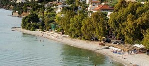 Una playa con sombrillas y gente, rodeada de árboles y casas.