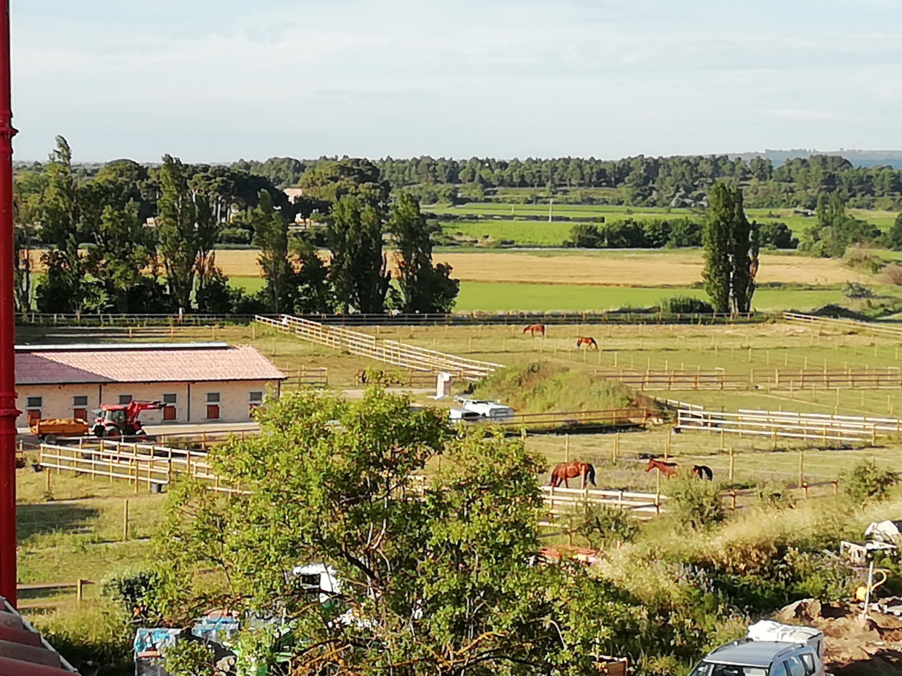 Un paysage rural avec un espace d’équitation délimité par une clôture, un bâtiment avec un toit rouge et des arbres en arrière-plan.