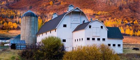 Condo, 3 habitaciones | Exterior