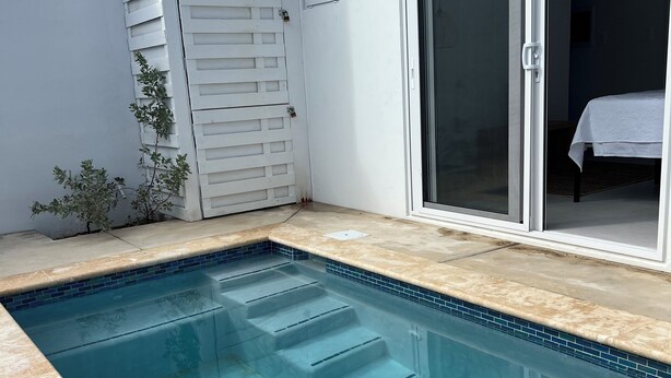 A swimming pool with steps leading into it, a sliding glass door, and a small plant beside the door.