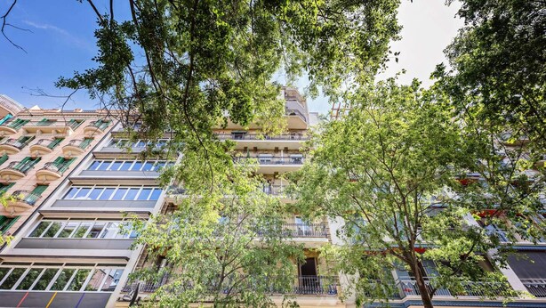 A multi-story building with balconies, large windows, and a tree in the foreground. - Sweett | Rocafort 101 (Barcelona)