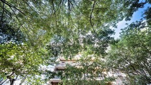 A multi-story building with balconies, surrounded by dense foliage. - Sweett | Rocafort 203 (Barcelona)