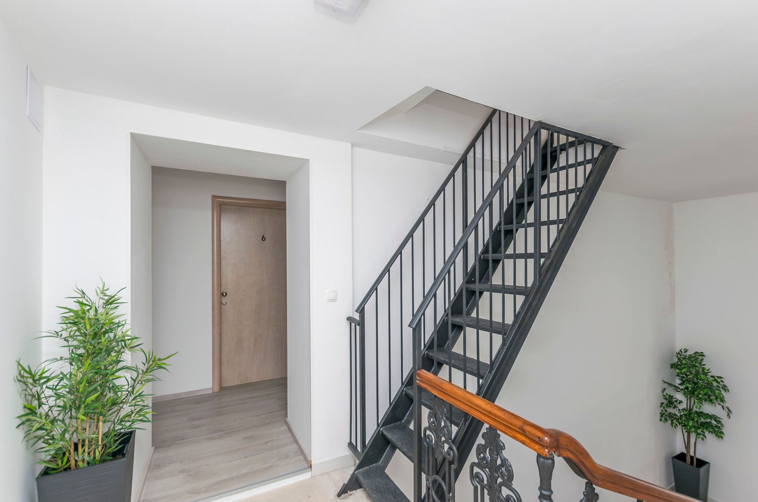 Un intérieur moderne avec une porte en bois, un escalier doté de rampes noires et des plantes en pot.