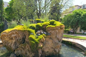Une formation rocheuse recouverte de mousse et abritant des tortues, entourée de verdure et agrémentée d’un élément aquatique.