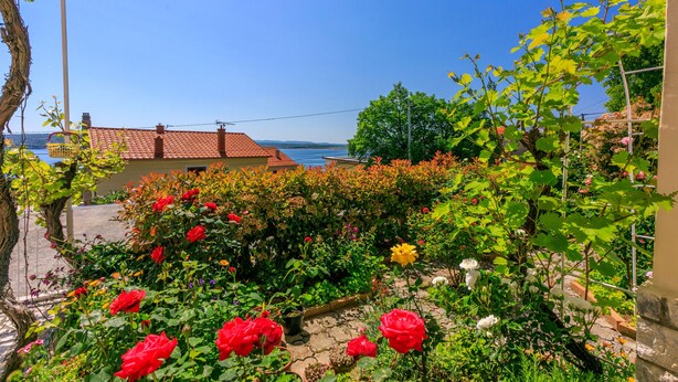 Een tuin met rode rozen en diverse planten, een gebouw met een rood dak en een uitzicht op zee op de achtergrond.