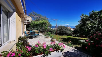 Cortile