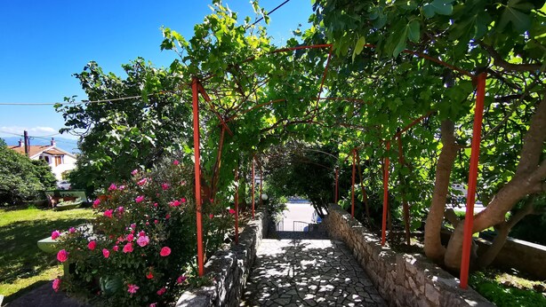 Ein gepflasterter Weg führt durch einen Garten mit einer Pergola, umgeben von Grünpflanzen und rosa Blumen.