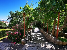 A stone pathway leading through a garden with a pergola structure, surrounded by greenery and pink flowers.