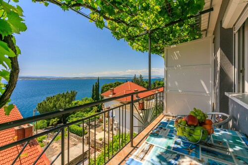 Apartments Brana