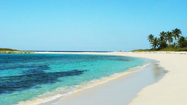 Una playa con agua turquesa cristalina, arena blanca y palmeras.