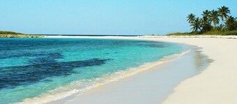 Caribbean Sea and Atlantic Ocean Views / Near Twin Cove Beach / Tropical Oasis