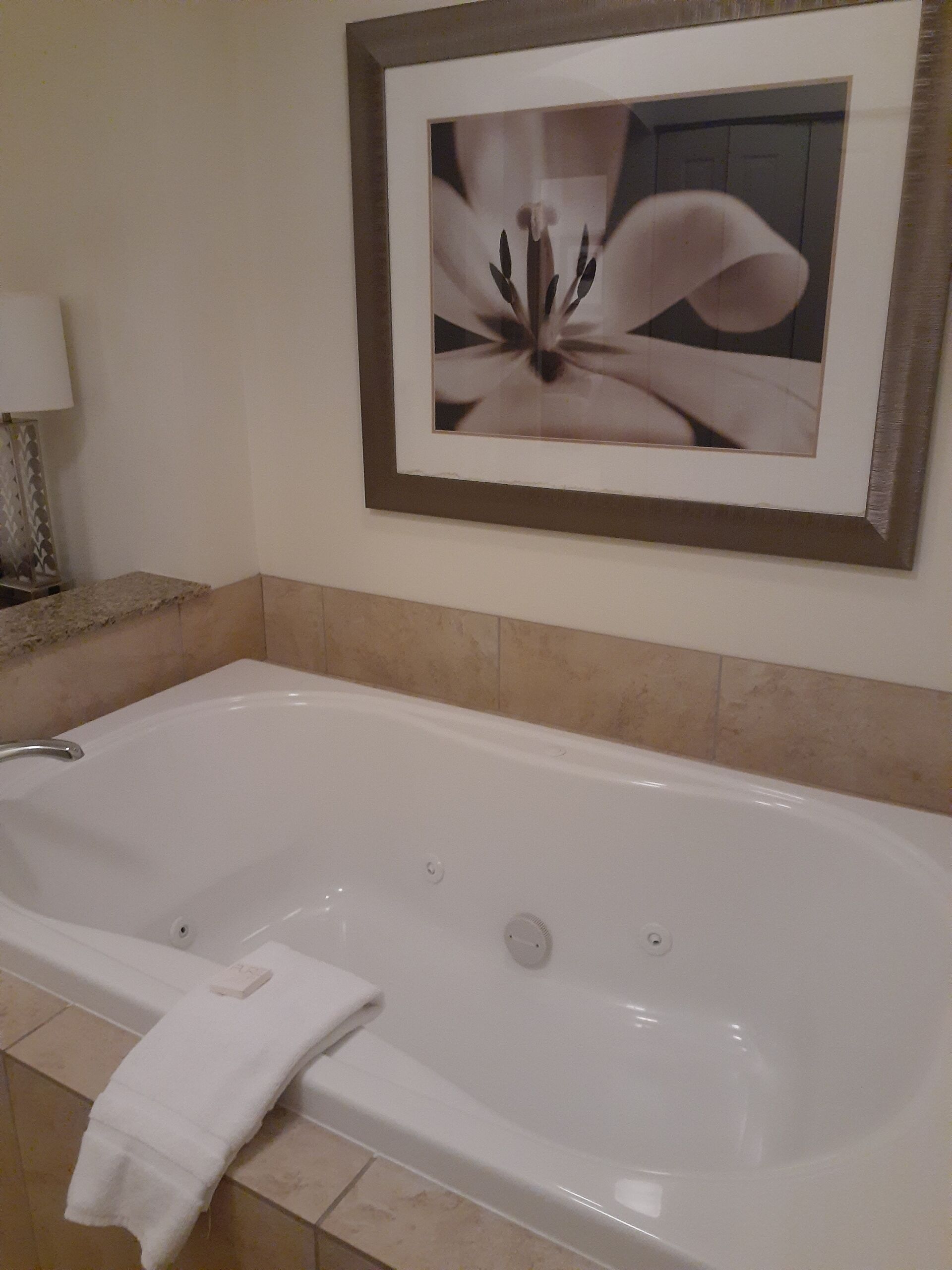 Iconic Mountain View Mini Mega Master Suite