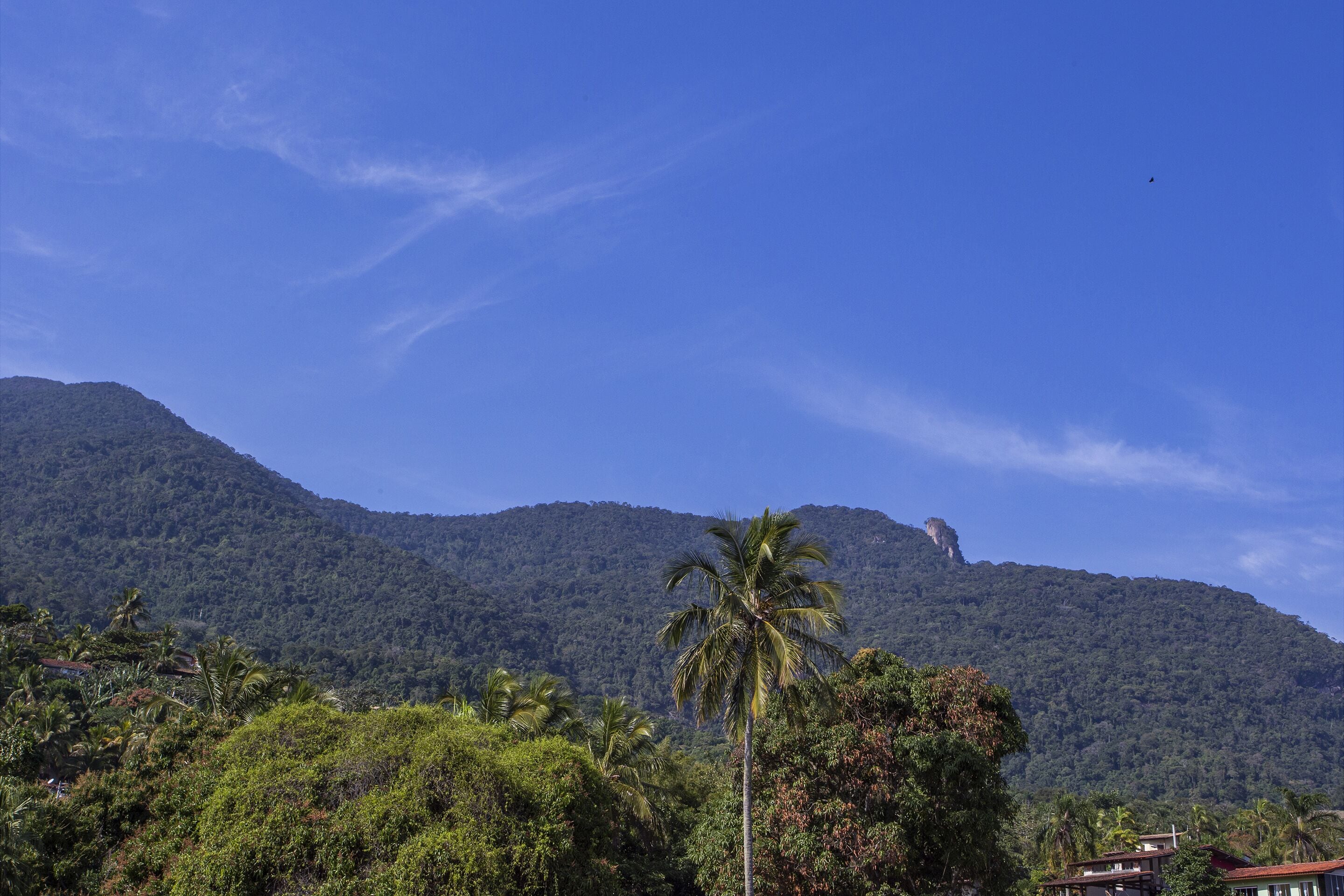 Un paisaje montañoso con vegetación densa y cielo despejado.