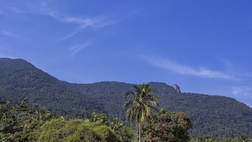 Un paisaje montañoso con vegetación densa y cielo despejado.