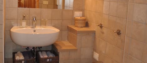 Shower, hair dryer, bidet, towels