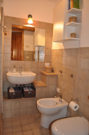 Regadera, secadora de cabello, bidet, toallas 