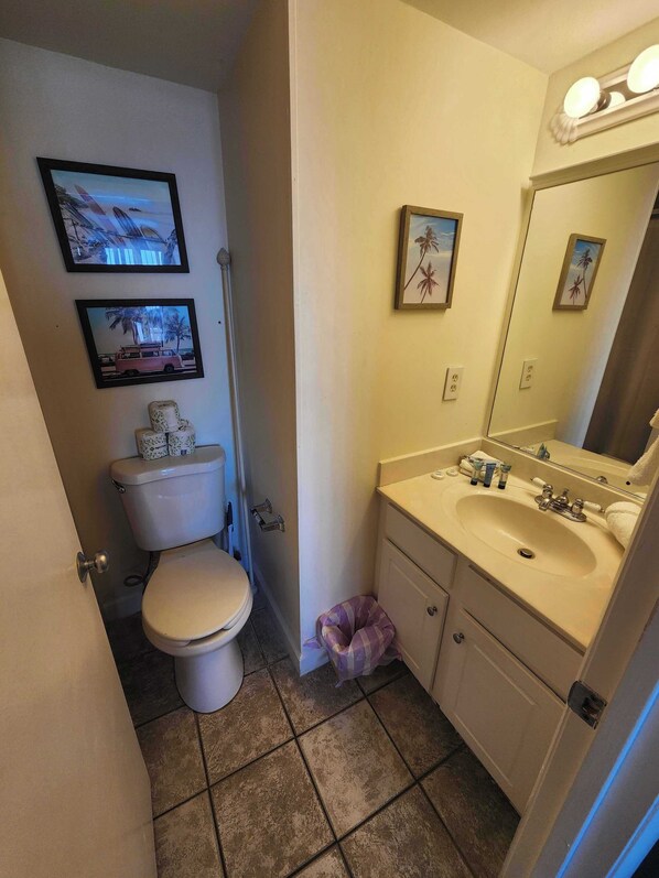 Combined shower/bathtub, hair dryer, towels, shampoo
