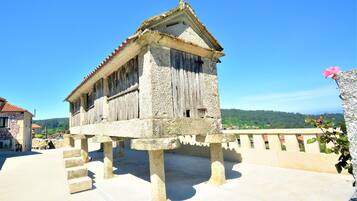 Terras