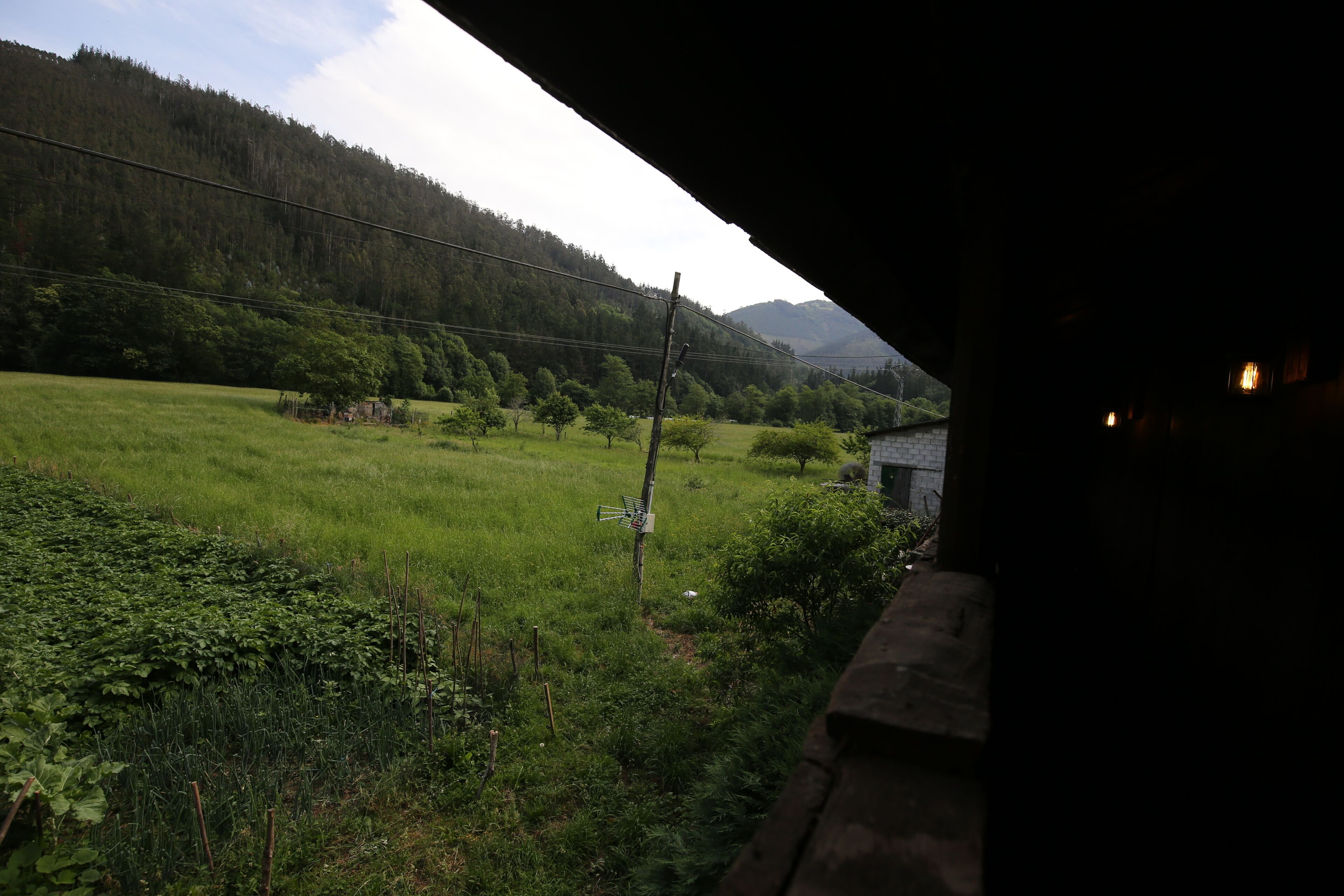View from property