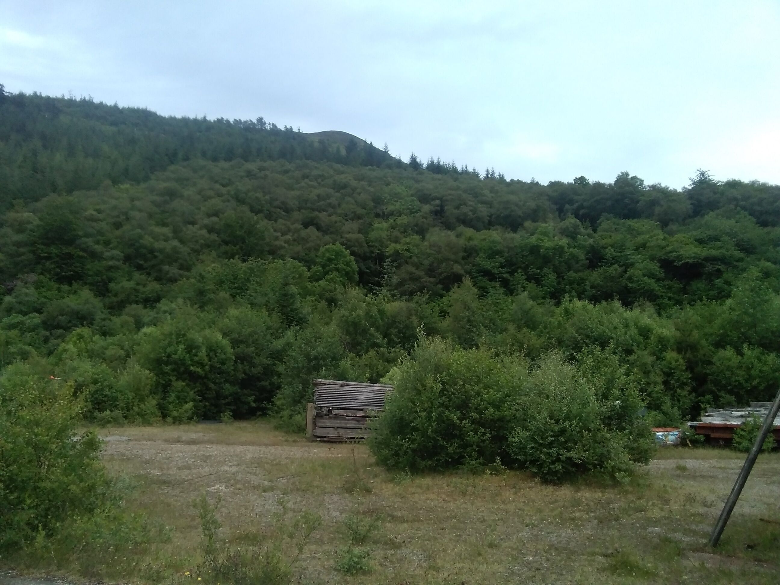 A rural landscape with dense forest, a dilapidated wooden structure, and a hill in the background.
