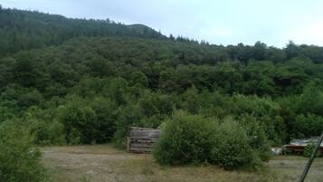 A rural landscape with dense forest, a dilapidated wooden structure, and a hill in the background.