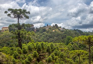 Área da propriedade