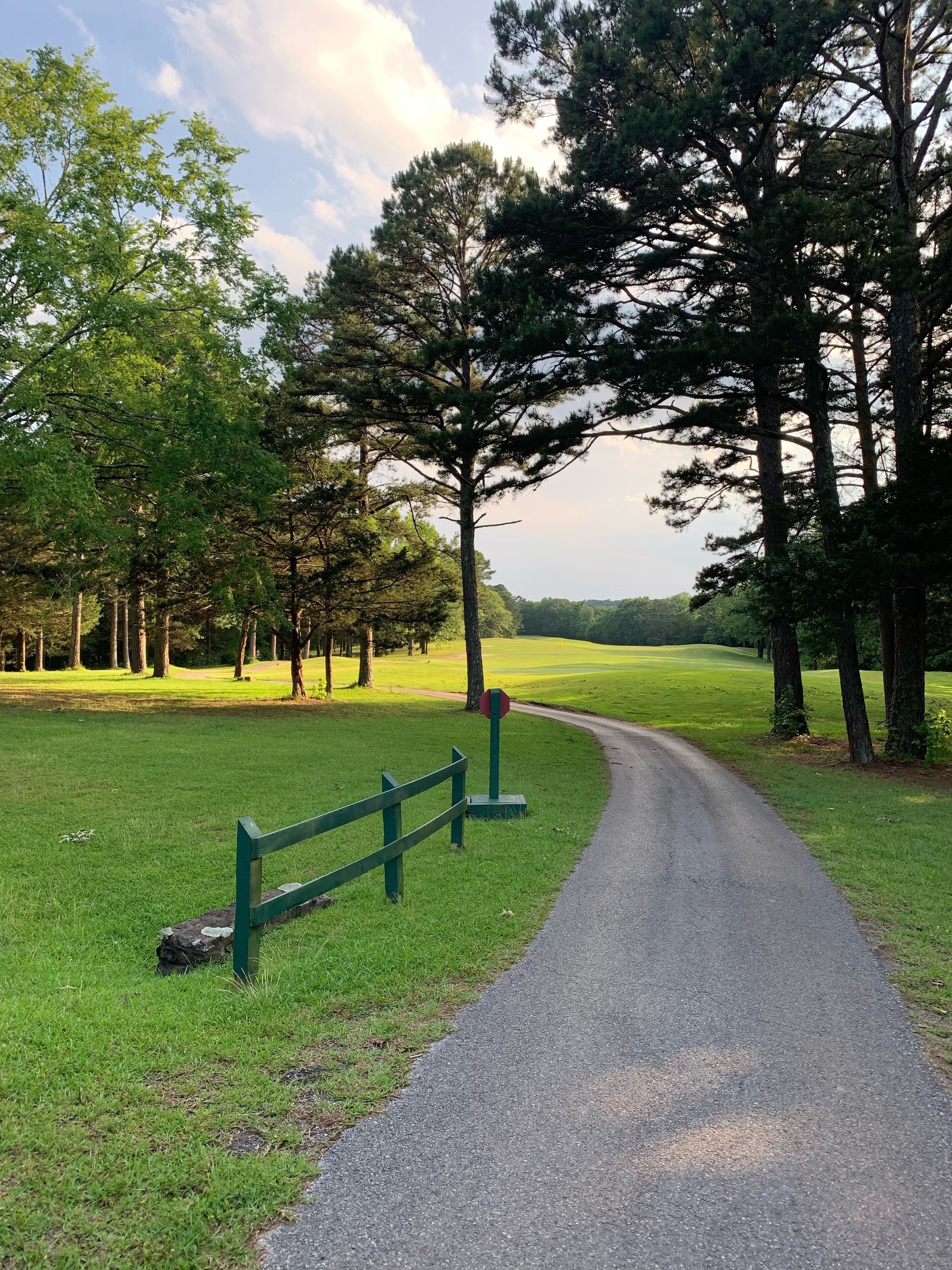 A paved path curving through a grassy area with trees on either side.