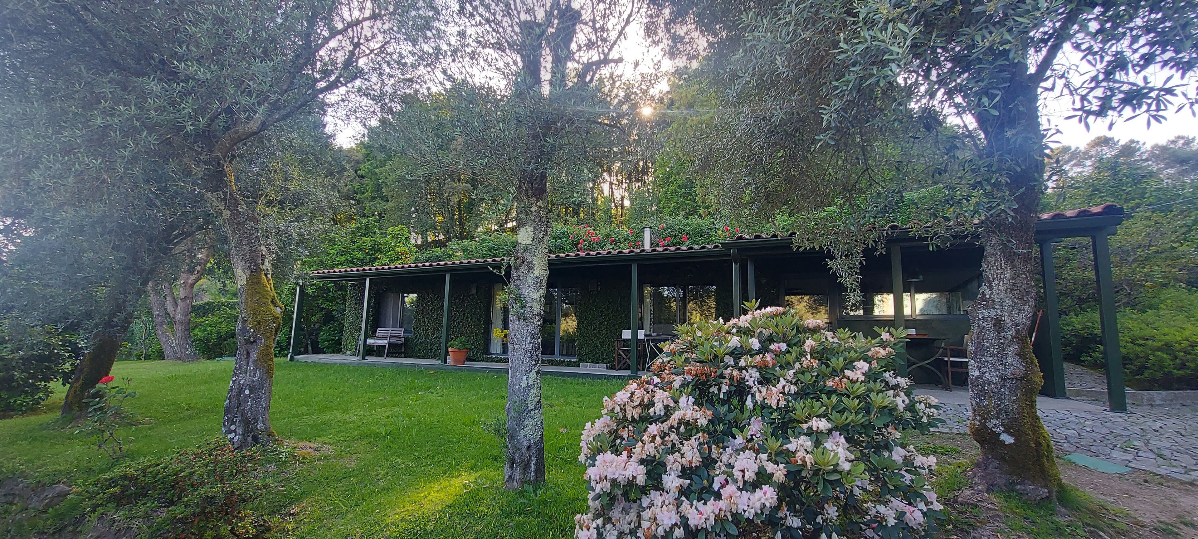 Área da propriedade