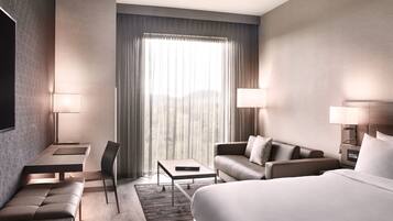 Desk, laptop workspace, iron/ironing board, free WiFi