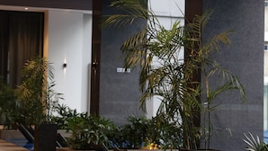 Un espace piscine intérieur moderne, doté d’un plafond sombre, de grandes plantes en pot et d’un plancher en bois.