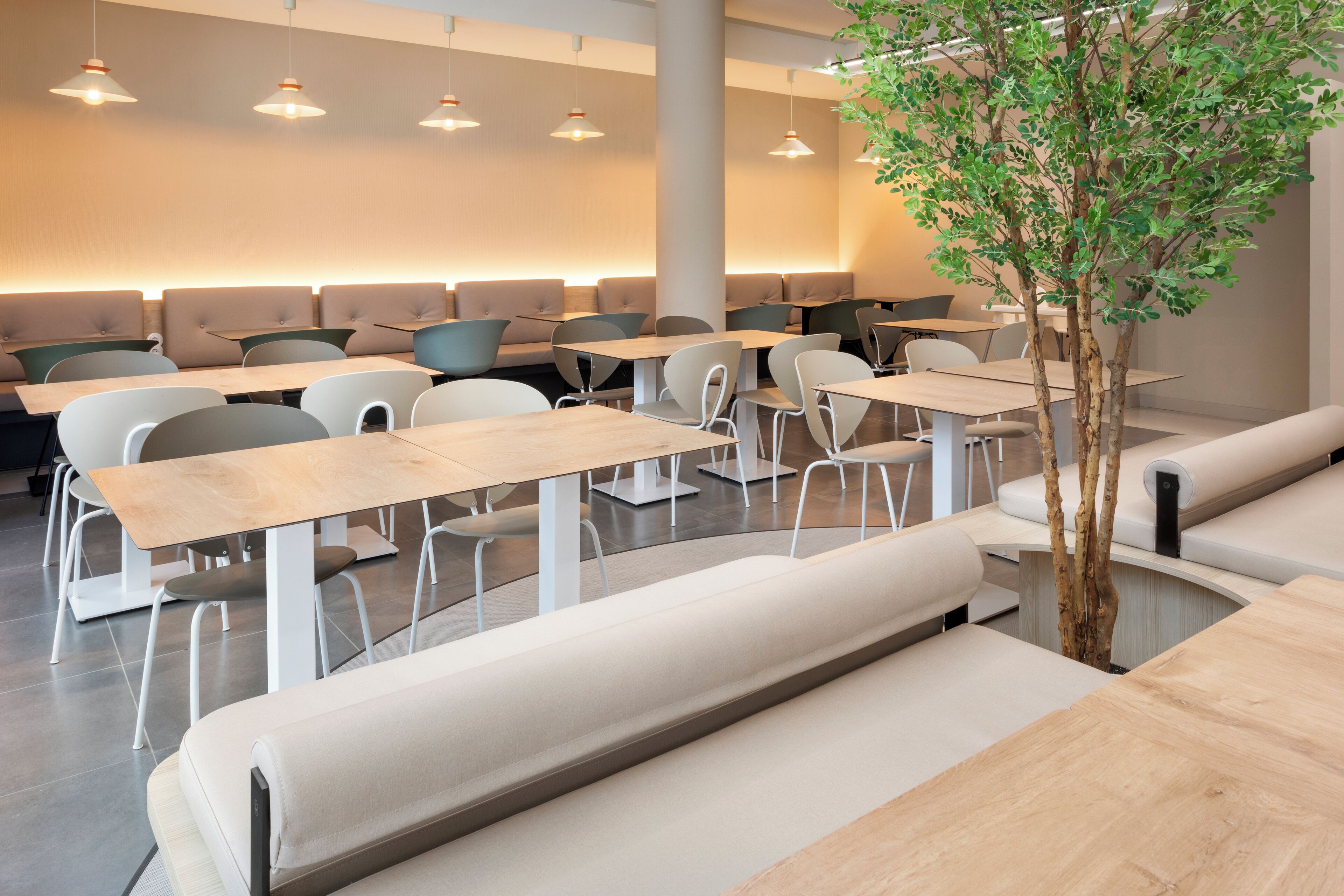 A modern dining area with booths and tables, a central plant, and pendant lighting.